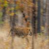 images/thumbsgallery/Anders_Geidemark_1.jpg