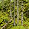images/thumbsgallery/Anders_Geidemark_2.jpg