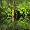 images/thumbsgallery/Anders_Geidemark_3.jpg