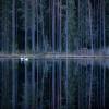 images/thumbsgallery/Anders_Geidemark_5.jpg