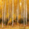 images/thumbsgallery/Anders_Geidemark_8.jpg